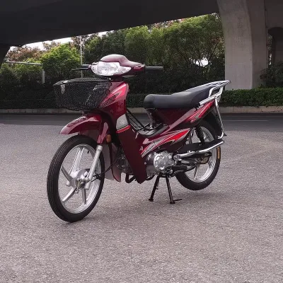 SHUNYANG Brand Made China 100-200CC Brushless Petrol Moped Motorbike Manufacturer Direct Sales Africa Middle East South America