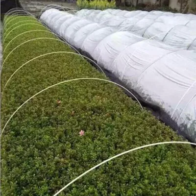 Hot Sale Green Fiberglass Rods for Agriculture for Wiring Accessories in Greenhouse Tunnels brackets