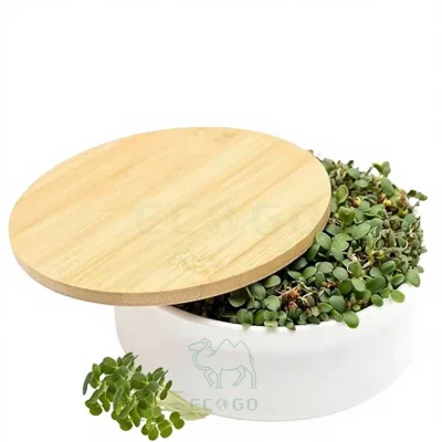 Sprouting Kit with Elegant Ceramic Dish and Bamboo Lid Blackout Cover with Stackable Design for Nutrient Dense Greens at Home