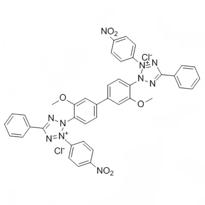 CAS 298-83-9 Chemical Reagent NBT,Nitrotetrazolium Blue Chloride