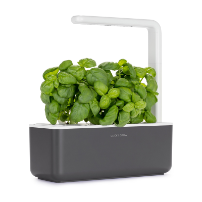 Grey Click & Grow Smart Garden 3 Self Watering Indoor Herb Garden Kit for Kitchen