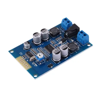TPA3118 HIFI 5.0 Digital Amplifier Board 60W Mono D-Class Amplifier Module Speaker DIY Modification DC8-24V