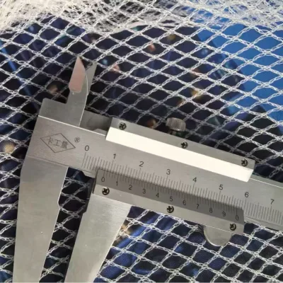 Cross-border Farming Bird-proof Net White Polyethylene New Material Anti-aging Insect-proof for Garden Use 3-year Warranty
