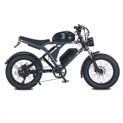A Rugged Aluminum Alloy E-bike Featuring 1500W High-torque Motor and 48V 55Ah Lithium Battery Long Range Power Electric Bicycle