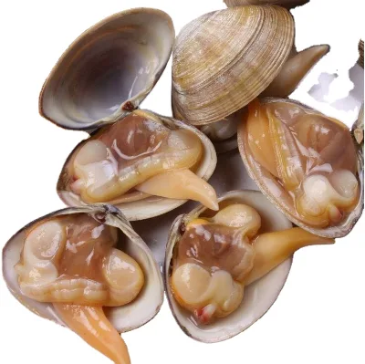 Msc Certified Vacuum Pack for Cheap Freezing Salted Short Neck Clam Meat