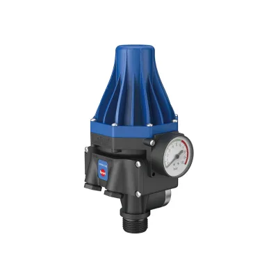 Automatic Water Pump Pressure Controller 220V Electric Control Switch with Pressure Gage Water Pump Automatic Control Switch