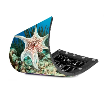 Flexible Led Displays