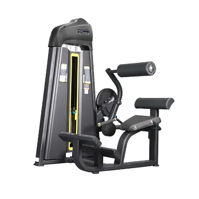 Factory Supply Gym Fitness Equipment Commercial Abdominal Isolator for Sale