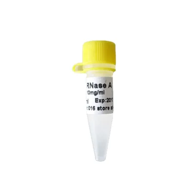 High purity RNase A Solution, 3000 U/mg 10mg/ml