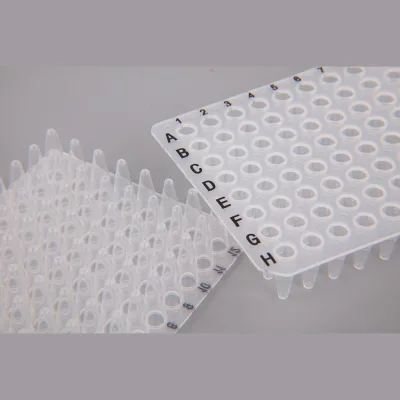 China DNA RNA Free 96 pcr well deep plate 0.1 ml