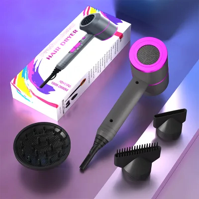 High Power Household Hotel Room Performance 1800W Fast Drying Rohs Hair Dryer With Removable Filter
