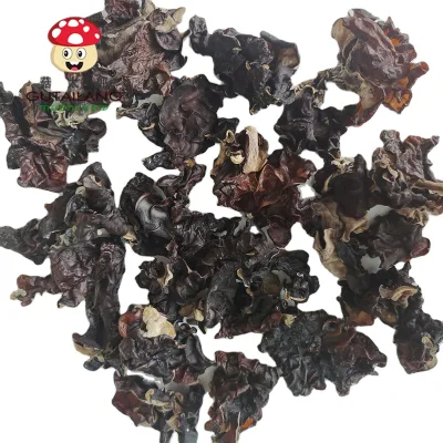 Cheap Price Dried White Back Black Fungus Wood Ear Mushroom Third Forth Harvest Black Fungus Large Size Black Fungi to Vietnam
