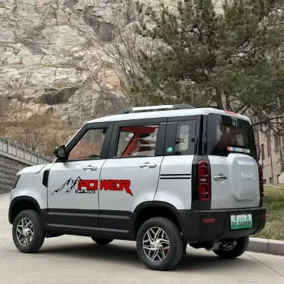 Long Range Lithium Battery New Energy Electric Vehicle Air Conditioning Comfortable Interior Electric Car for Elder
