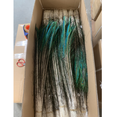 Dyed Hotselling Peacock Feather Nature 30/35 Inch Peacock Feather for Decoration Part