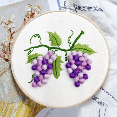 Delicate Embroidery Starter Kit Diy Embroidery Kit for Beginners Grape Stamped Cross Stitch Kit