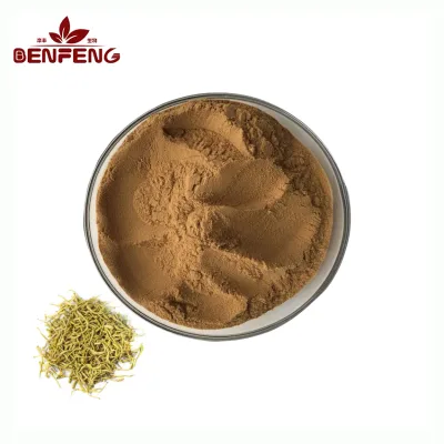Bulk Lonicera Japonica Extract Powder Natural Chlorogenic Acid Honeysuckle Flower Extract