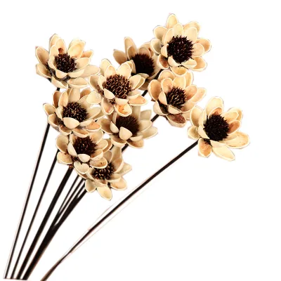 Handmade Creative Living Room Decoration with Natural Plant Materials Real Touch Dried Flowers for Weddings and Halloween
