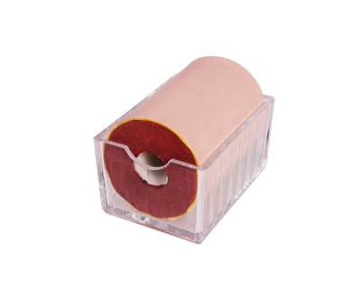 Multi-Functional PVC & Silicone Injection Anatomical Model Nurse Training Medical Science Education Schools Training Facilities