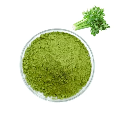 Wholesale Price Food Grade Water Soluble Celery Juice Powder & Extract Powder 1kg Drum Packaging Solvent Extraction