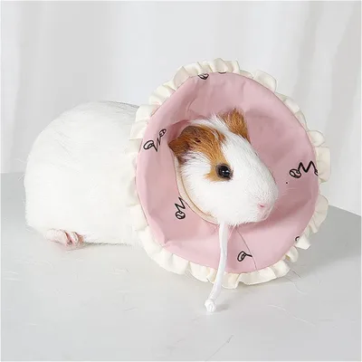Small Animals Pet Elizabeth Collar Soft Dot Protective Circle Cone Nursing Ring Surgery Collar for Guinea Pig Rabbit Hamster