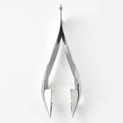 10pcs Stainless Steel Eye Clip Pineapple Eye Removal and Seed Removal Nail Knife Pineapple Seed Removal Clip FHL1603
