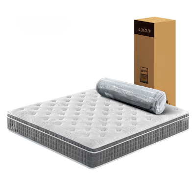 Orthopedic Spring Mattress Folding Best Bed Mattress Sleep Memory Foam Mattresses in a Box