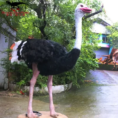 Animatronic Ostrich Life Size Animal Model