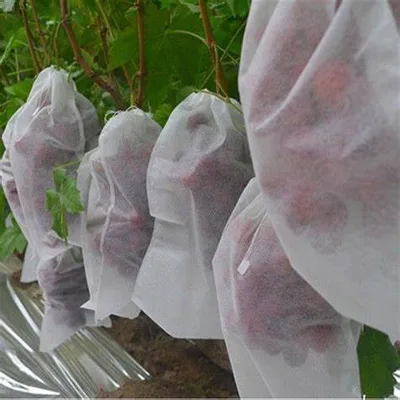 Pp Punbond Non Woven Bag for Fruit protection