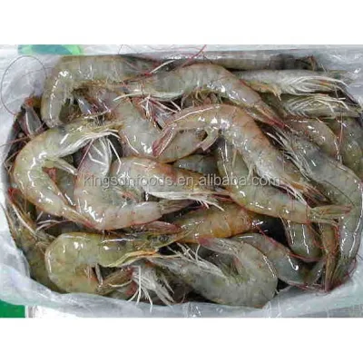 Popular Frozen Vannamei Shrimp Raw Head on Frozen Shrimp HOSO