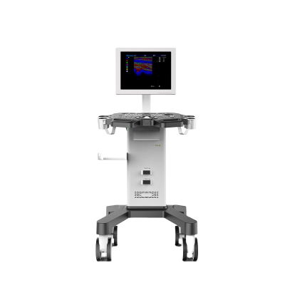 Hospital  Black and White Ultrasound Medical Equipment for Sale Ultrasonic Diagnostic Instrument
