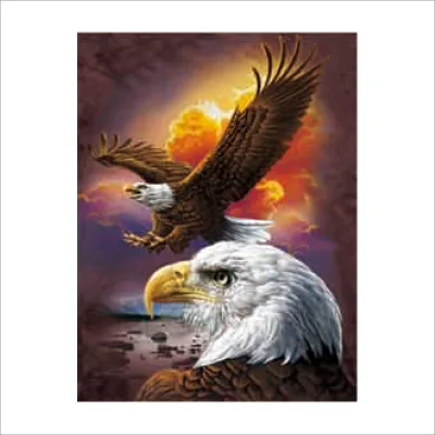 Customize Eagle Lenticular Poster 3D Lenticular Wall Calendar Poster