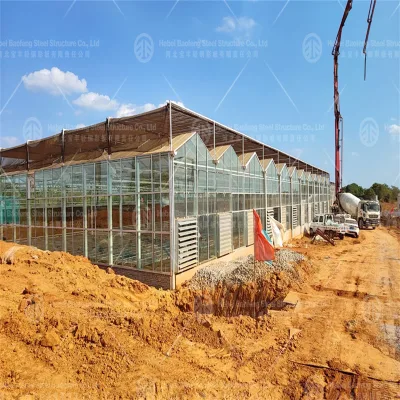 Affordable Wholesale Custom Commercial Agricultural Plastic Hoop House Greenhouse