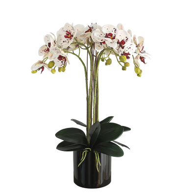 Real Touch Simulation Potted Butterfly Orchid for Home Party Decoration