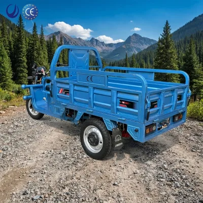 Open, Factory Direct Sales, High Quality, Low Price, CE Certified 60V, Can Pull Cargo Tricycle, Electric Freight Tricycle
