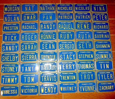Enamel South America Car License Plate Door Number Sign Plate Emboss Bike Number Plate Design Photo