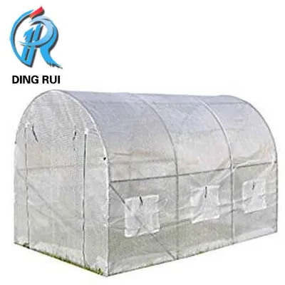 Waterproofing Greenhouse, PE Fabric Greenhouse, Used for Flower Greenhouse