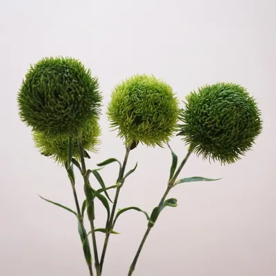 Modern Style Plastic Green Caryophyllus Flower Arrangement for Wedding Home & Hotel Decor or Christmas & Graduation Occasions