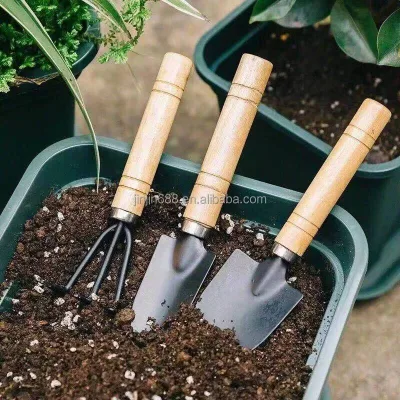 High Quality Mini 3-Piece Garden Shovel Tools Set Carbon Steel Blades Wood Handles Compact Design for DIY Gardening ODM/OEM