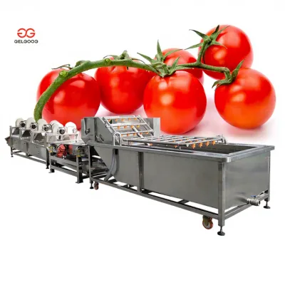 Factory Price New Small Stainless Steel PLC Motor Tomato Washing Machine