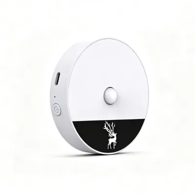 Smart Motion Sensor Night Light Rechargeable LED Lamp With Bluetooth Control Type C Charging for Bedroom Home