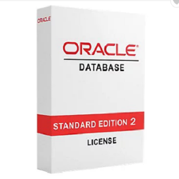 Chinese Supplier Std 10g/11g Standard Software Oracle DATEBASE