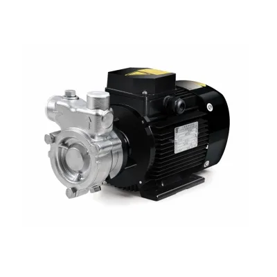 Hot Sale Stainless Steel Gas Water Pump