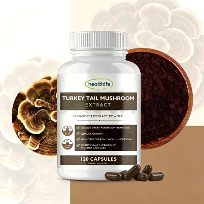 Healthife Private Label Coriolus Versicolor Extract Turkey Tail Mushroom Capsules Support Immune Healthy