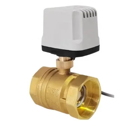 Normally Closed and Normally Open 220v Two-wire 24v Electric Valve
