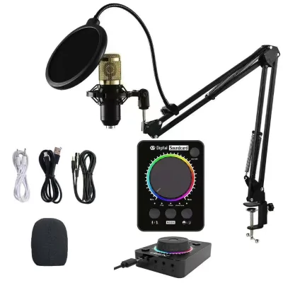 Professional Sound Card Cheap Compact and Lightweight with Reverb for Live Singing Record