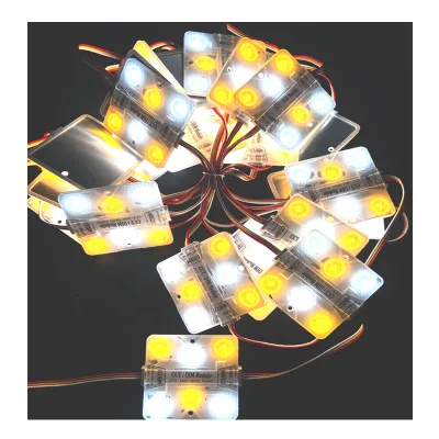 IP68 CCT/DIM Tunable White 2600k-8600k 6 Led Modules Outdoor Waterproof IP68 DC 24V Module Led Light