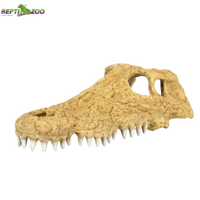 REPTIZOO Custom Logo Eco-Friendly Safe Durable Resin Large Realistic Crocodile Skull Shape Hide Cave Reptile Terrariums