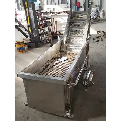 Vegetable Surf Type Bubble Cleaner Fruits Cleaning Line Vegetable Fruit Bubble Washing Equipment