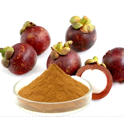 Top Quality Freeze Dried Fresh Fruit Shell Extract 40% Mangostin Mangosteen Extract Powder