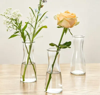 New Arrival Clear Glass Bud Vase Slim Waist Hydroponic Glass Flower Vase for Housewarming Table Aesthetic Decor Gift Set